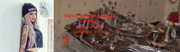 амф Арсеньев