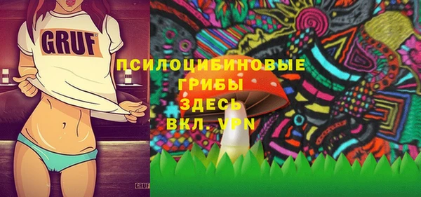 амф Арсеньев