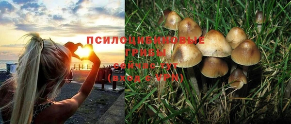 амф Арсеньев