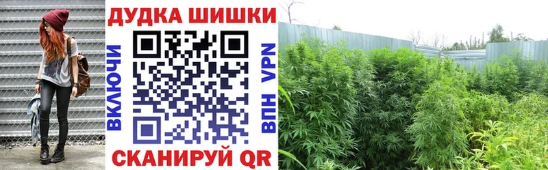 МАРИХУАНА план  Бугульма 